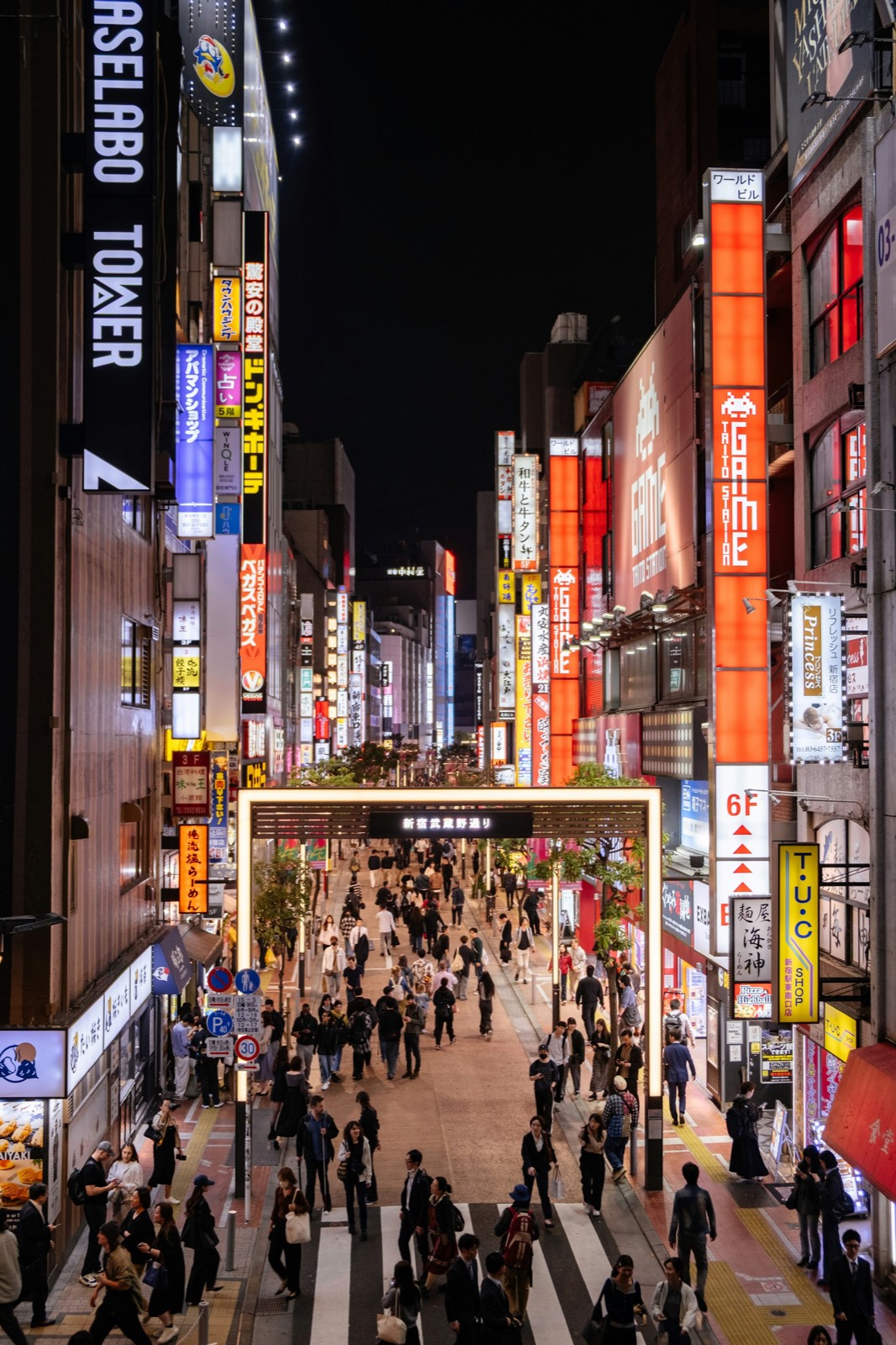 Crowded Tokyo backstreet under neon signage